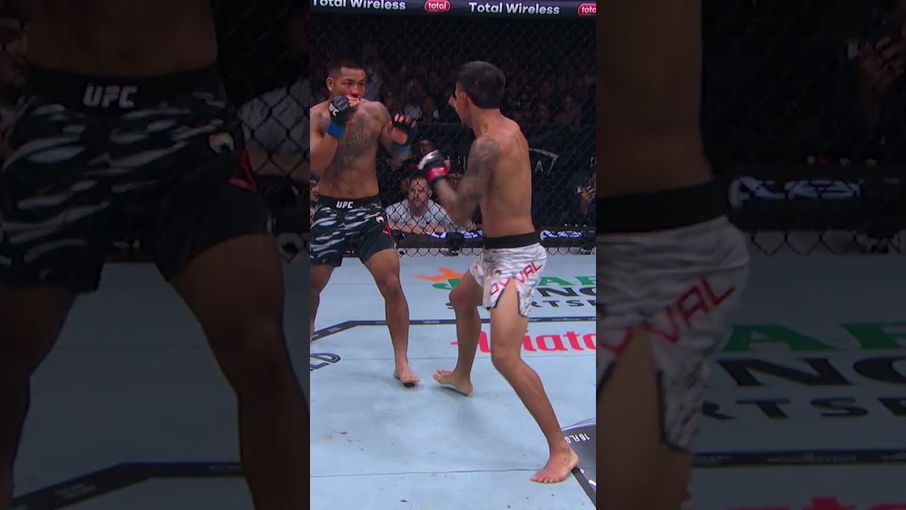 КАКОЙ БОЙ! #ufc328