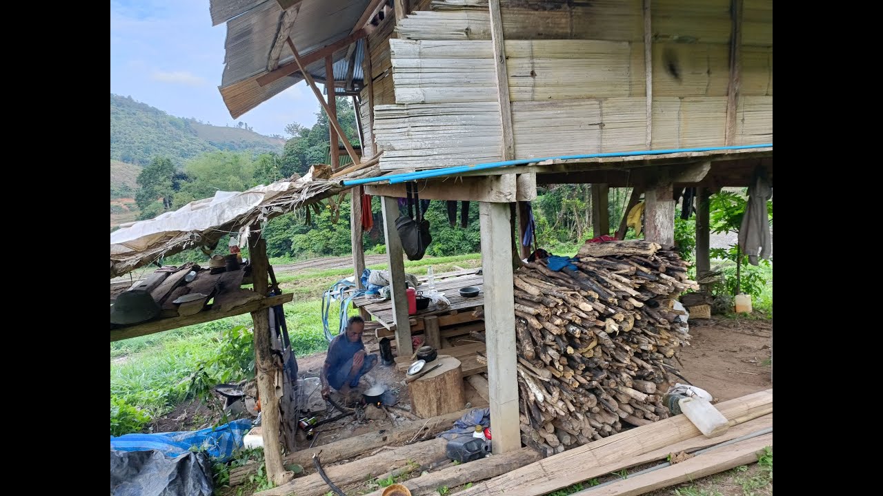 VILLAGE LIFE | life in the rice field | Thailand's countryside | village lifestyle