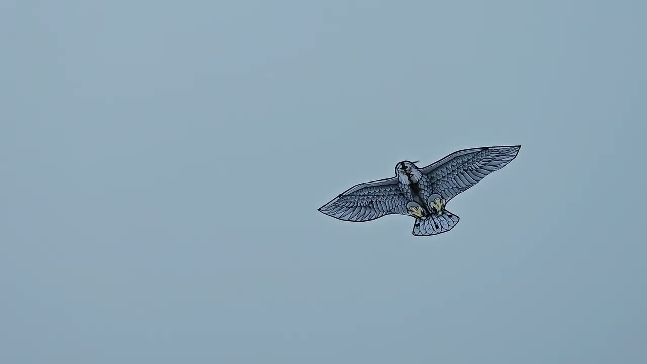 Eagle Kite with 3D Printed Thrust Vectoring