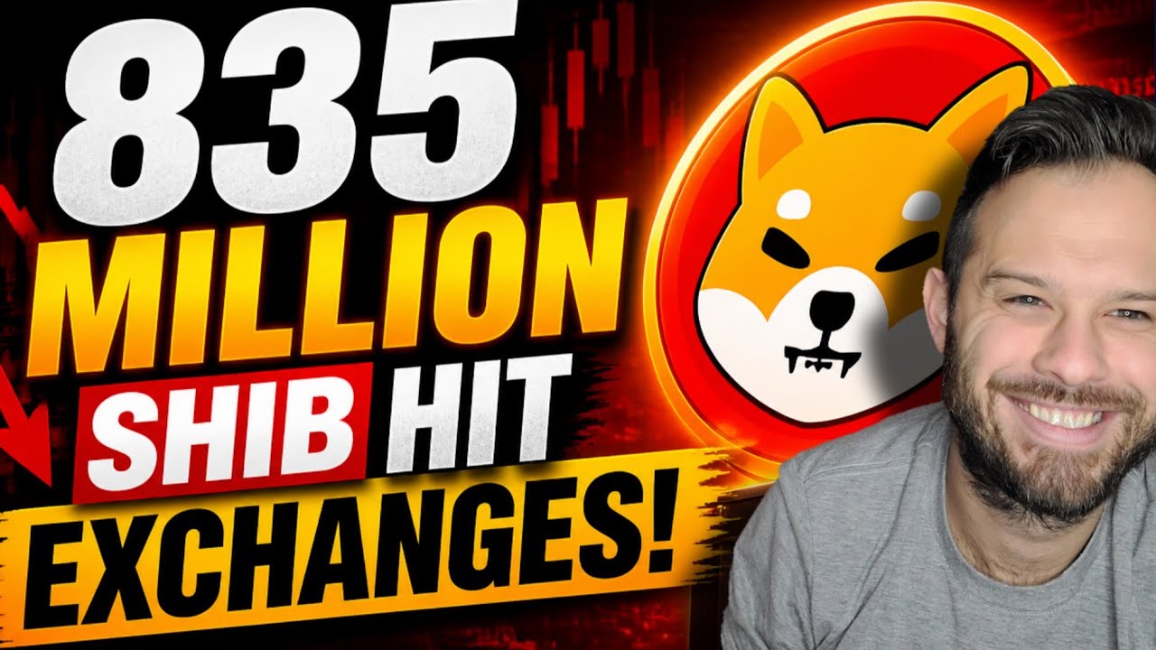 Монета Shiba Inu | 835 миллионов SHIB в движении! Свежие данные по биржам SHIB