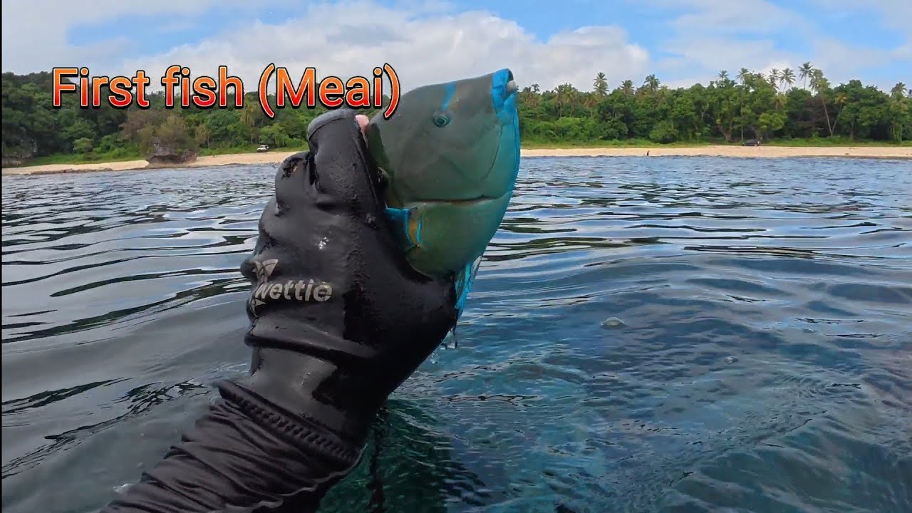 Spearfishing in Eua Tonga 🇹🇴. Ufilei Beach.