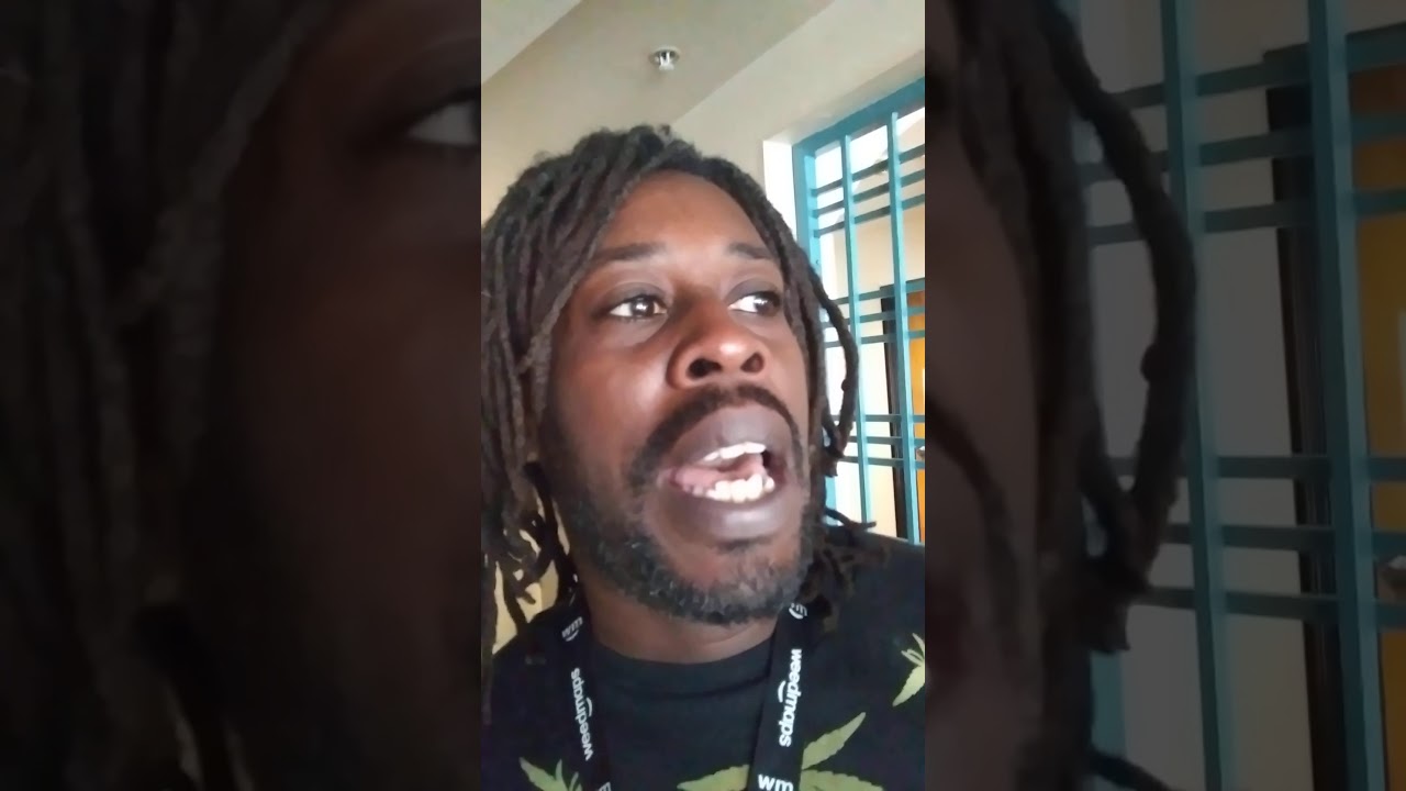 The mindset of black liberals.