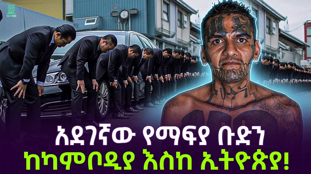 አደገኛው የማፍያ ቡድን | ከካምቦዲያ እስክ ኢትዮጵያ Salon Terek