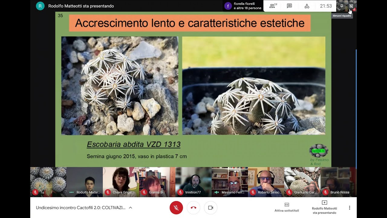 Coltivazione wild - Le chiacchierate di Cactofili 2.0 (Prima parte)
