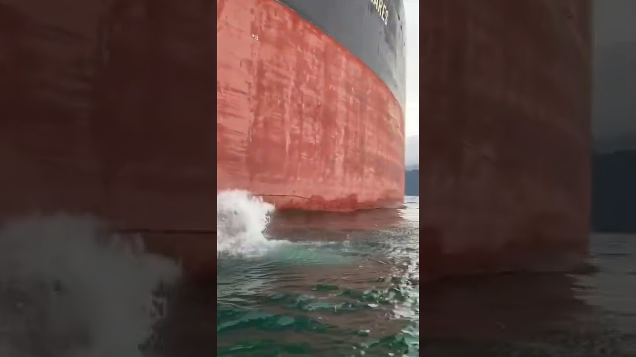 Mergulhando de um navio cargueiro. #shorts #short #viral