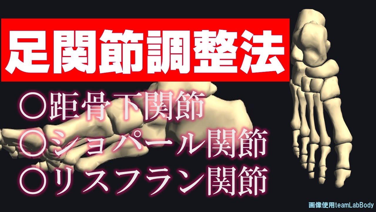 vol.42 ちょー簡単な足関節調整法　動きの悪い足関節に柔軟性を‼