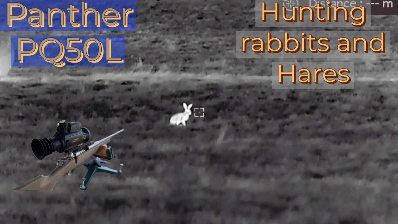 Shooting Hares with a Hikmicro Panther PQ50L