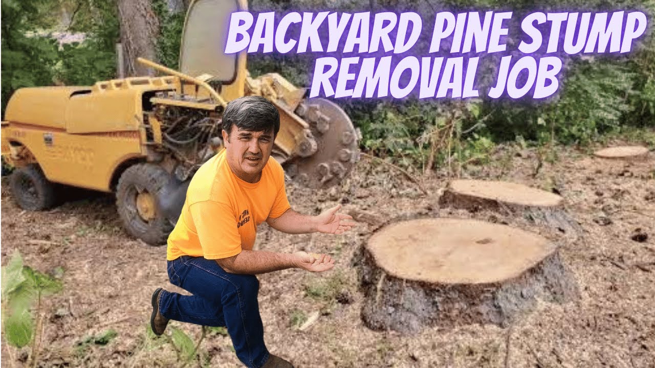 “How to Remove 3 Pine Stumps in a Backyard | Stump Grinding Tips”