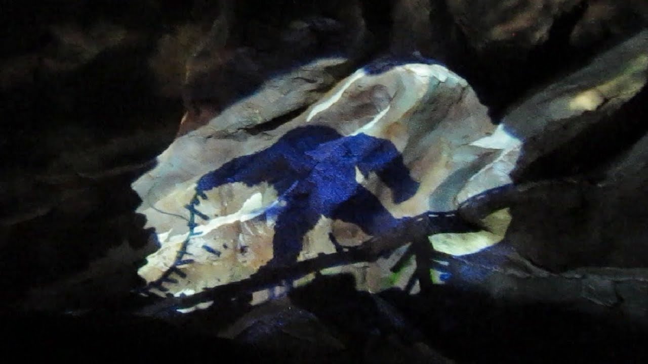 Expedition Everest Fail - Walt Disney World's Animal Kingdom