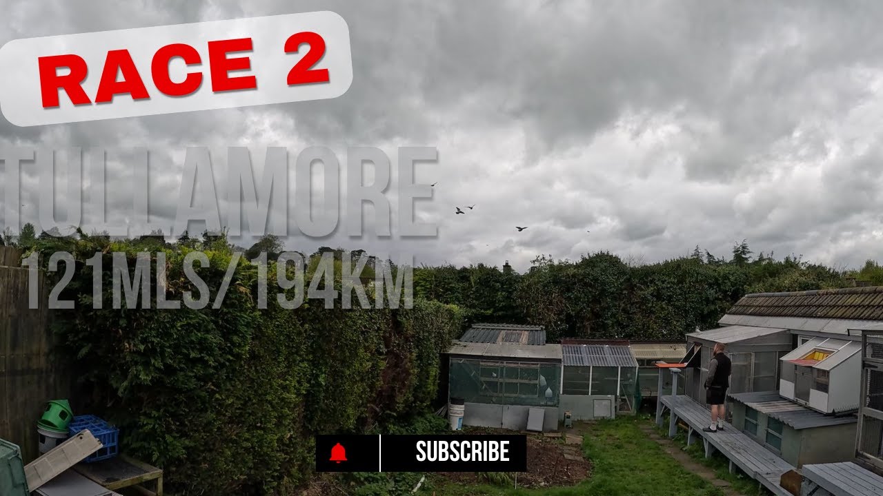 RACE 2 - TULLAMORE WITH EDC