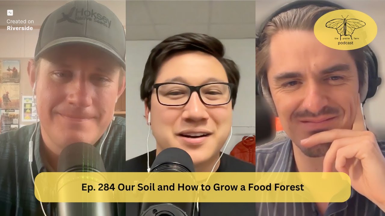 Ep. 284 Saving Our Soil and How to Grow a Food Forest