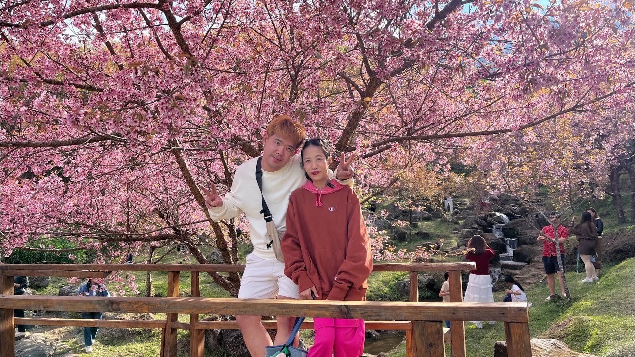 EP10.1 Road Trip Countdown 2026!!! เชียงใหม่ 7วัน6คืน day2 ซากุระขุนวาง🌸