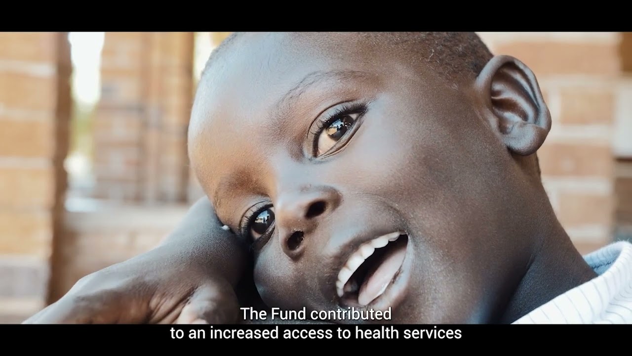 Supporting Zimbabwe's National Health Strategy (Health Development Fund)  #HDF
