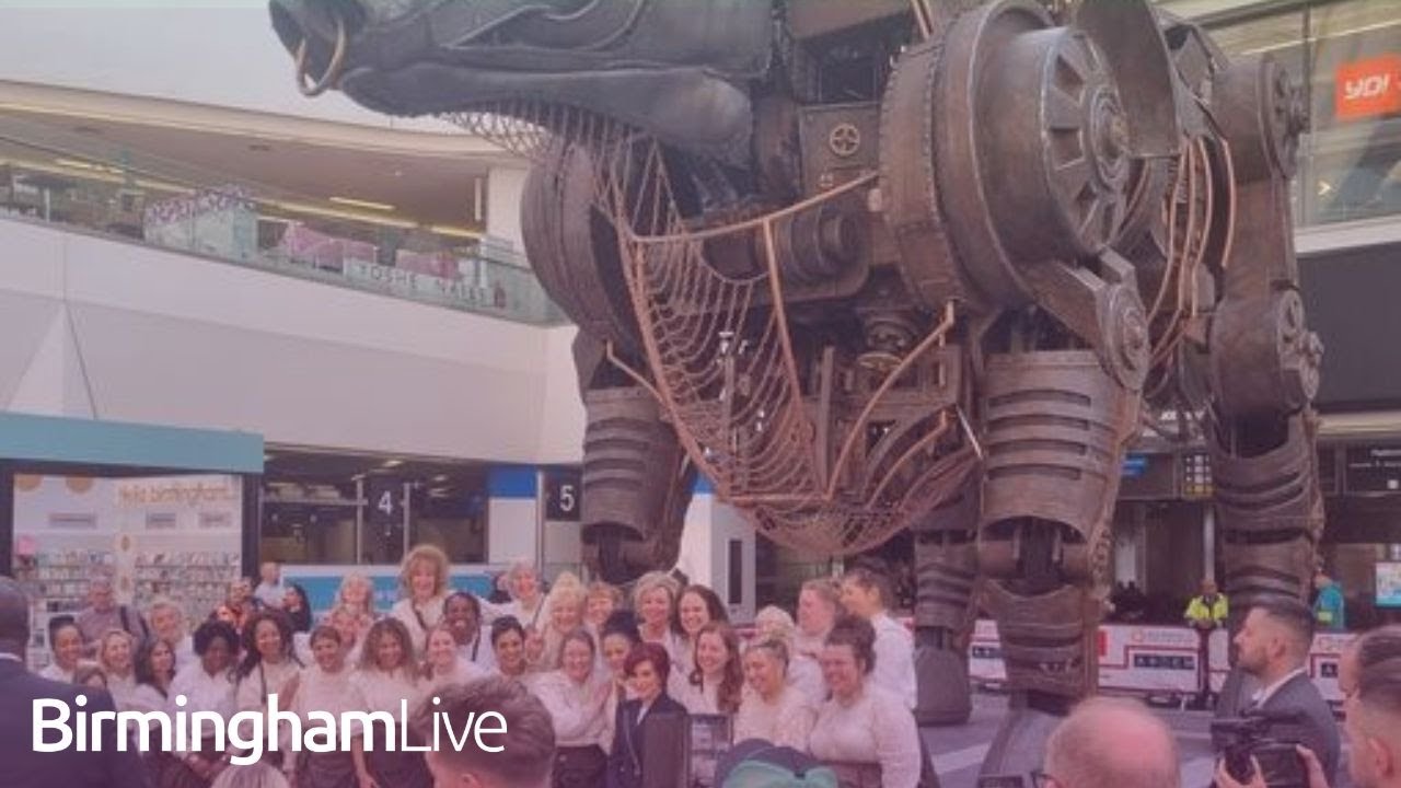Ozzy the Bull roars to life in Birmingham New Street unveiling
