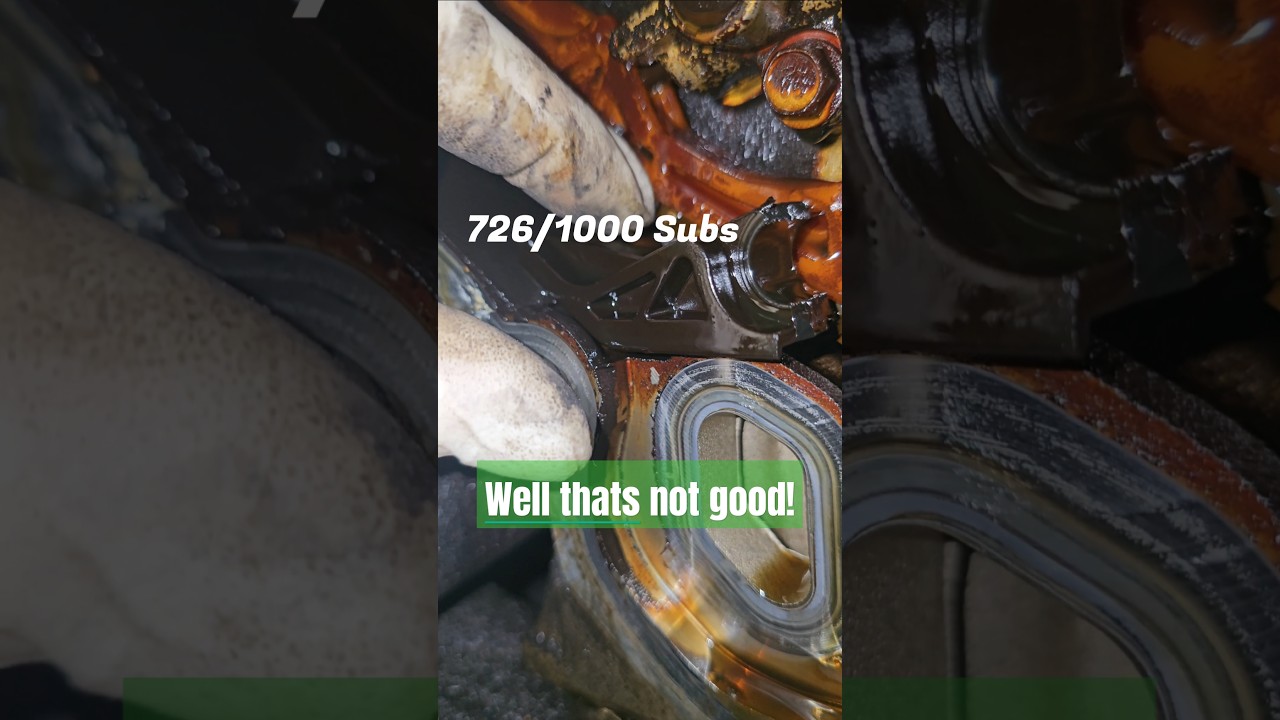 Another 2.4 ecotec timing chain guide bites the dust! 