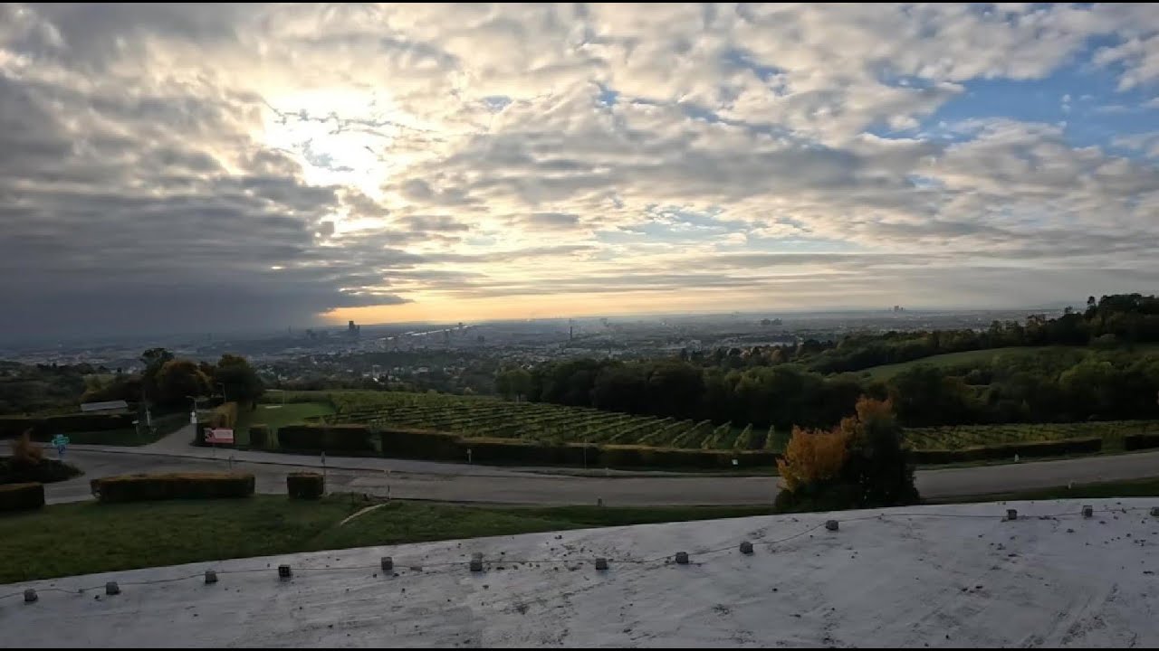 Vienna Trail Run 2025 | 25GRAMS Power Trail – 23.8 km & 1000 hm of pure movement