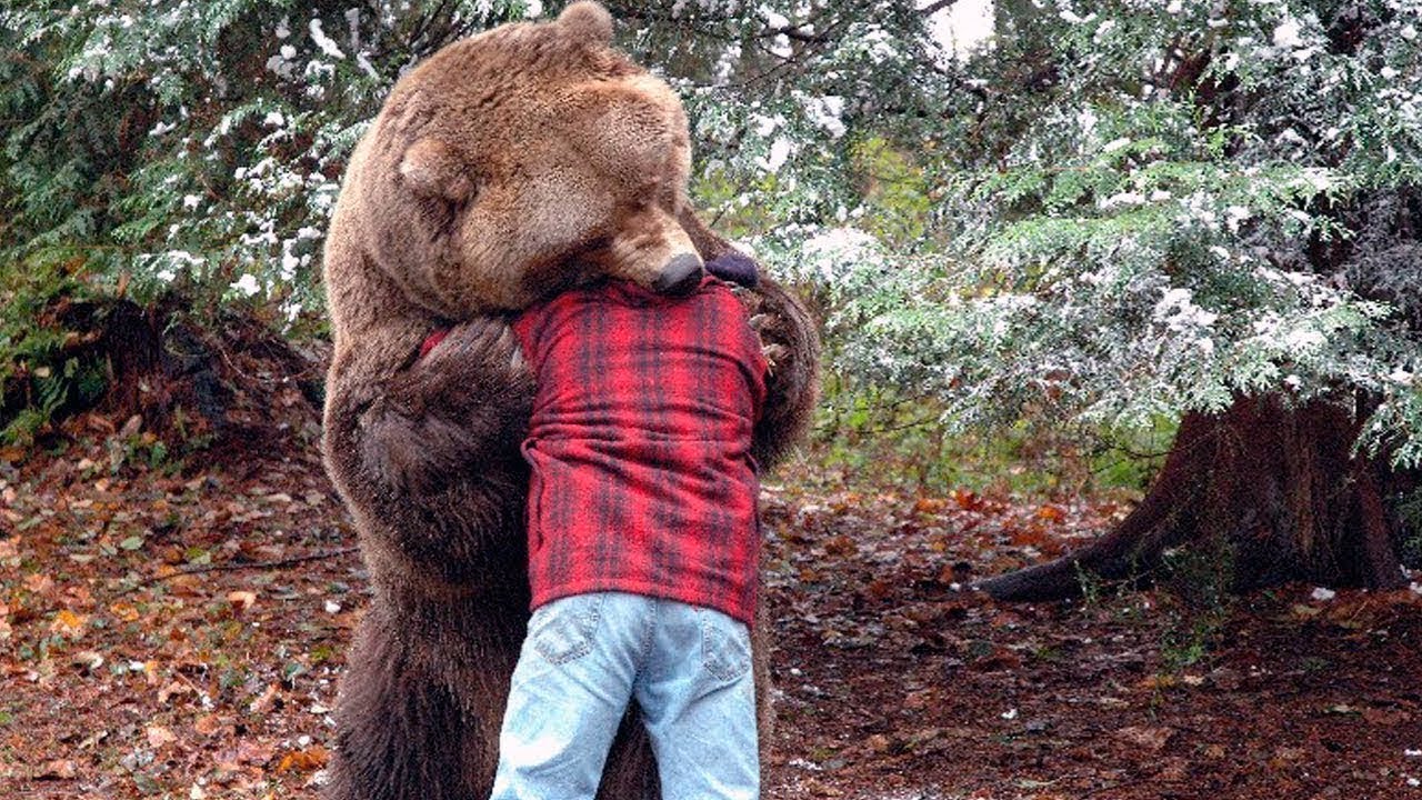 Man saved a bear and kept him as a pet. This is what the animal did many years later…