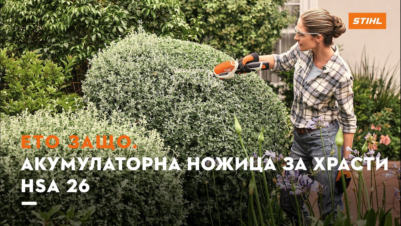 Поддържани храсти и трева по краищата на тревни площи с акумулаторна ножица за храсти STIHL HSA 26