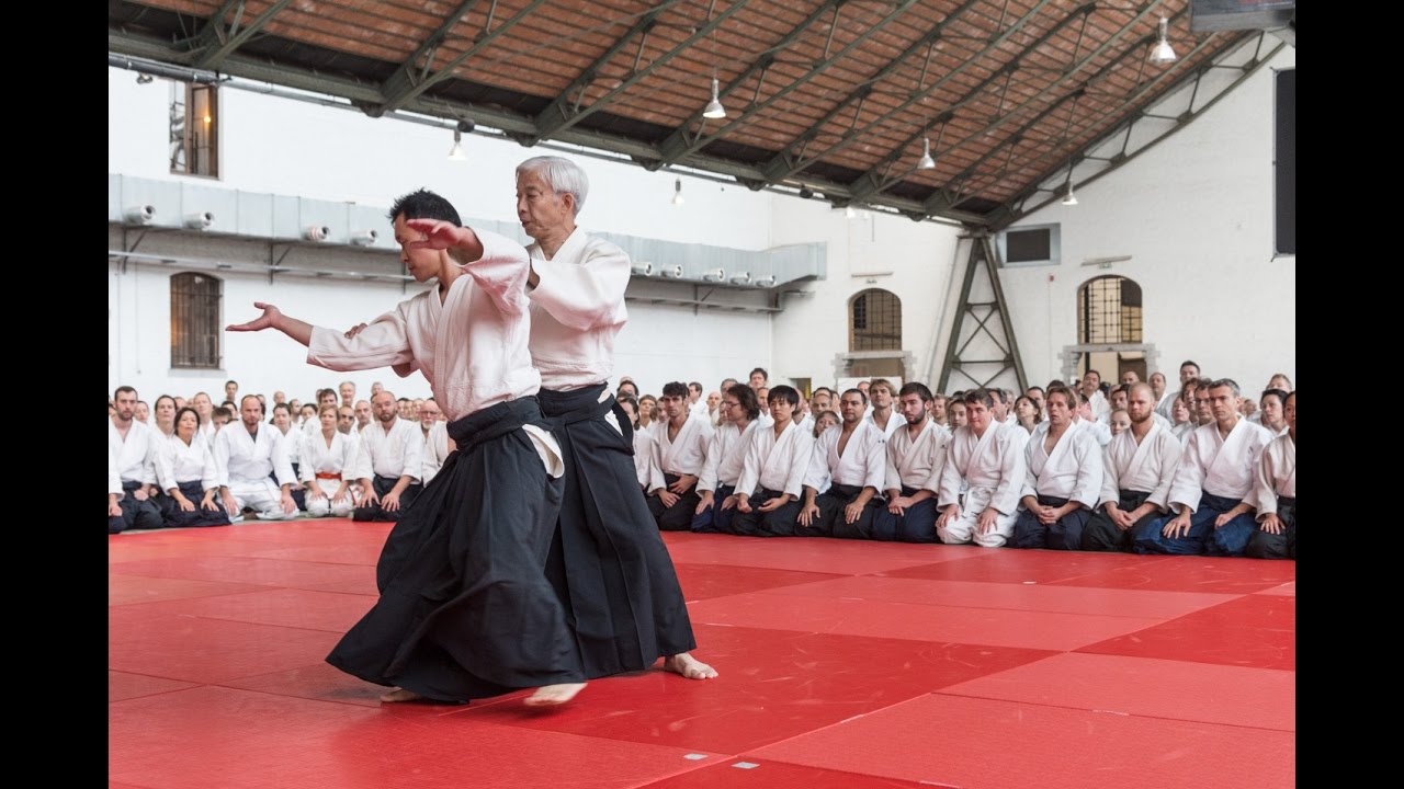 International Aikido Celebration - Belgium 2016