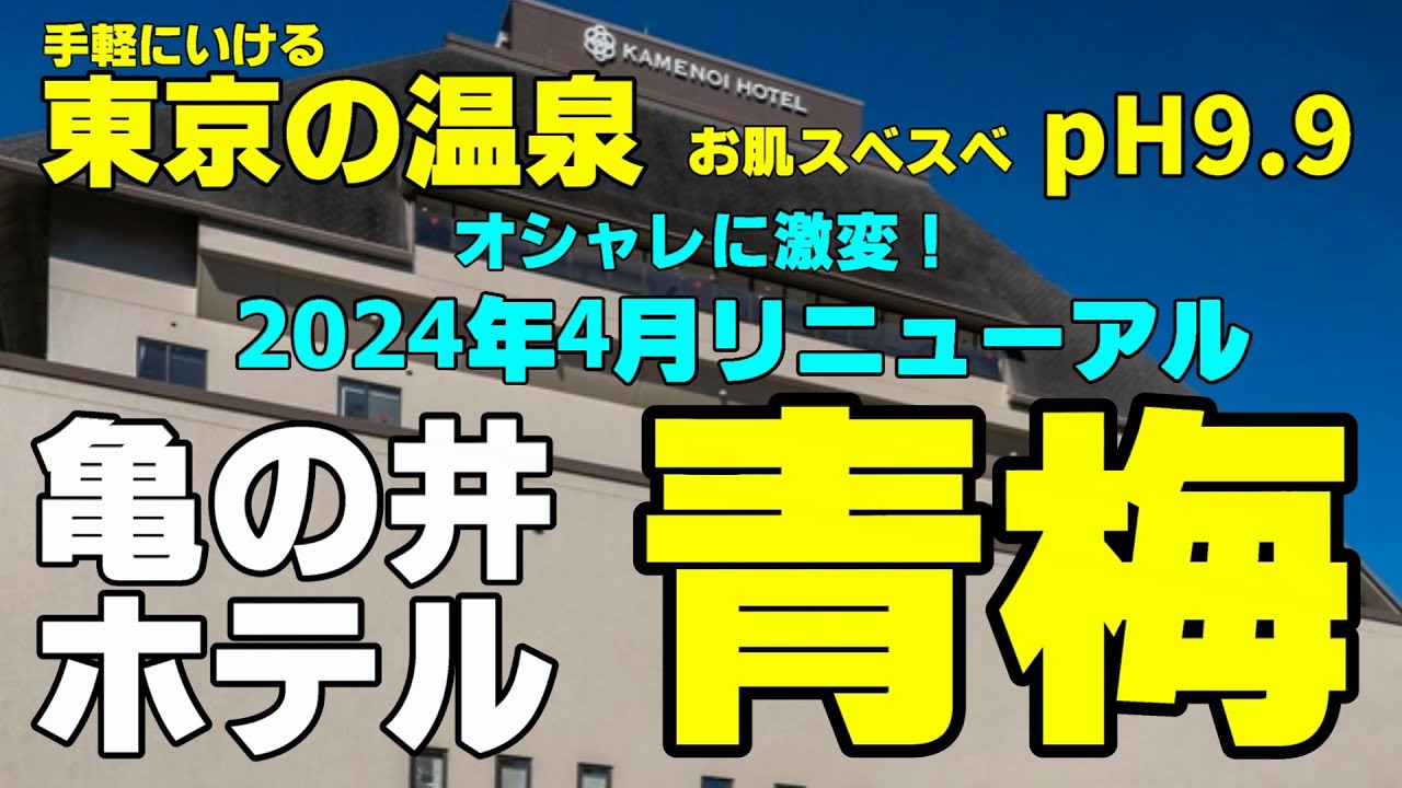 【予想以上に高い満足度と優れたコスパ】亀の井ホテル青梅　2025年4月リニューアル！ちょうど良い距離感とお財布に優しい優良コスパ宿の週末