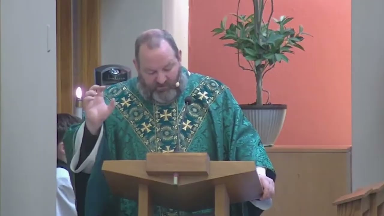 Homily Fourth Sunday in Ordinary Time 2026