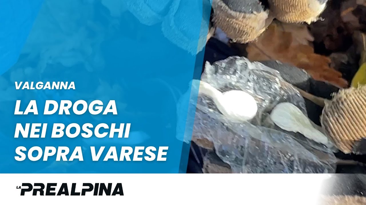 Valganna | La droga nei boschi sopra Varese