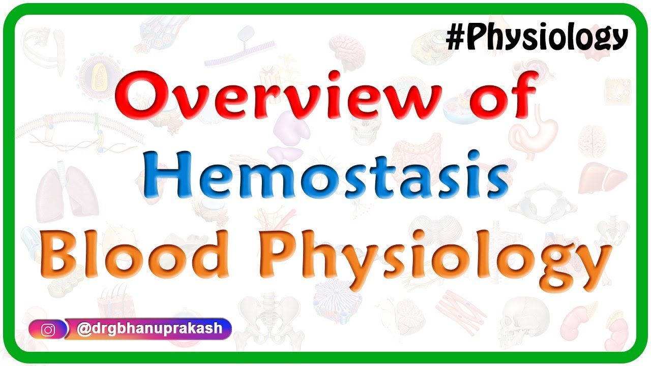 Overview of Hemostasis - Blood physiology Animated video lecture for MBBS