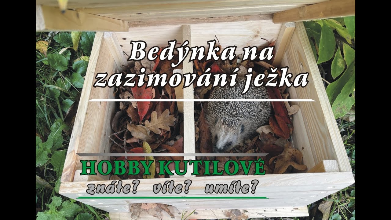 Hobby kutil - výroba domečku na zazimování ježků (production of a house for wintering hedgehogs)