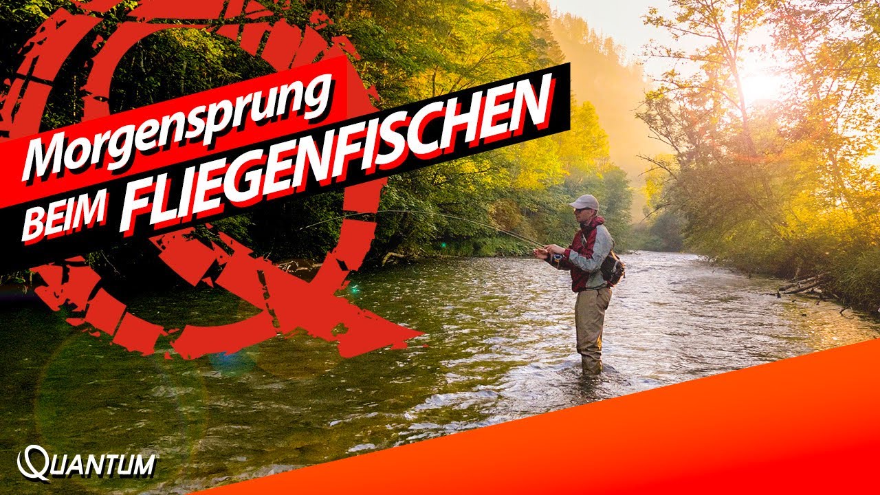 Fliegenfischen auf Forellen und Äschen - Morgenstund' hat Gold im Mund!