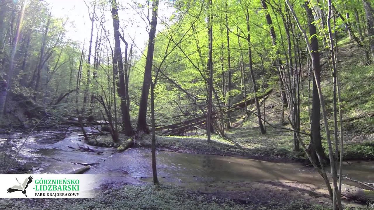 Górznieńsko-Lidzbarski Park Krajobrazowy