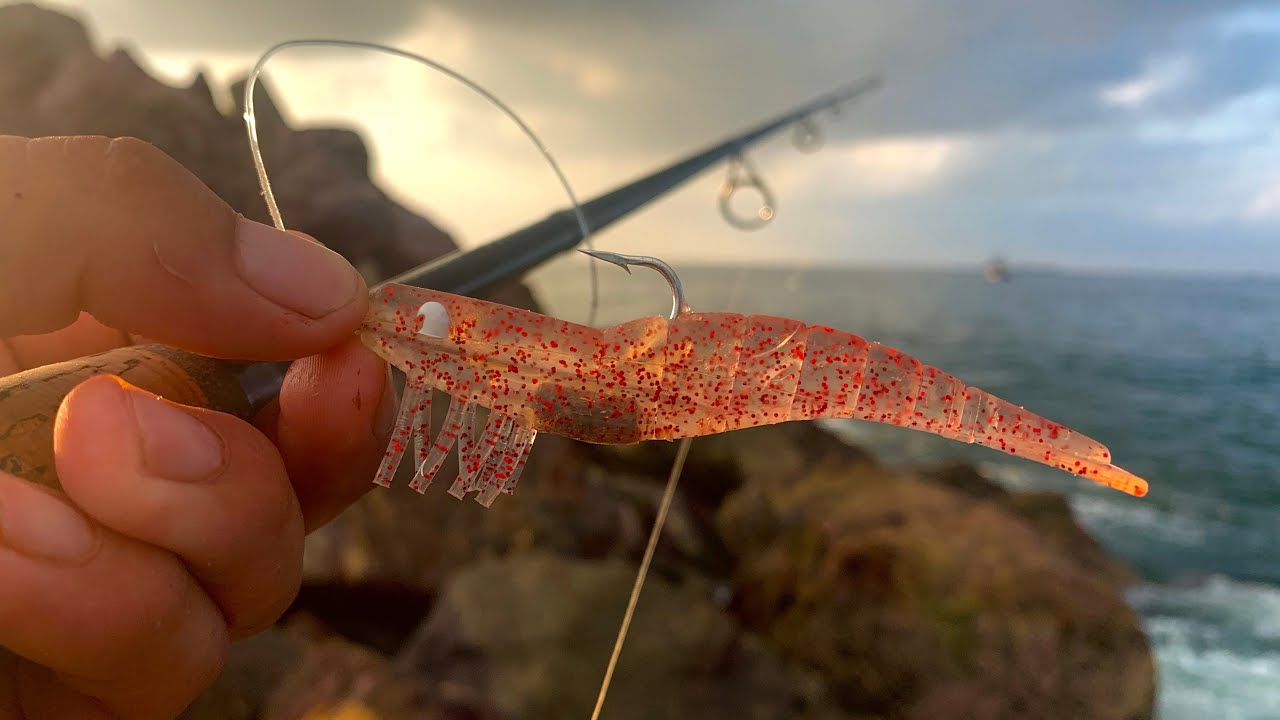 COMO PESCAR de ORILLA con CAMARÓN ARTIFICIAL || TIPS DE PESCA || CONSEJOS de pesca.