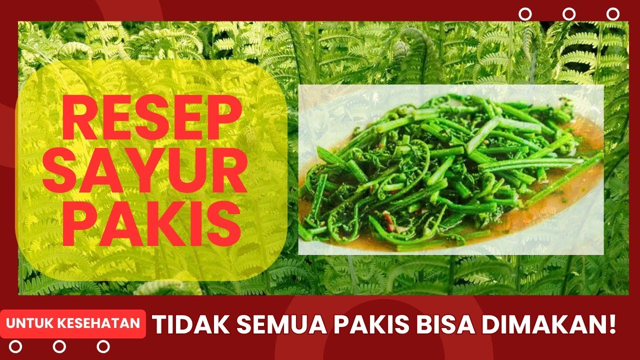 Manfaat Pohon Pakis untuk Kesehatan & Resep Pakis #DaunPakis #ManfaatPakis #SayurPakis