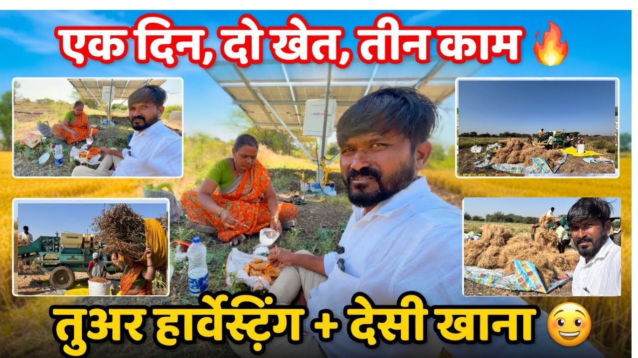 🔥 “एक दिन, दो खेत, तीन काम 😲 तुअर हार्वेस्टिंग 🚜 + पत्नी के साथ देसी खाना 🍛 | The Jadhav Vlogs”