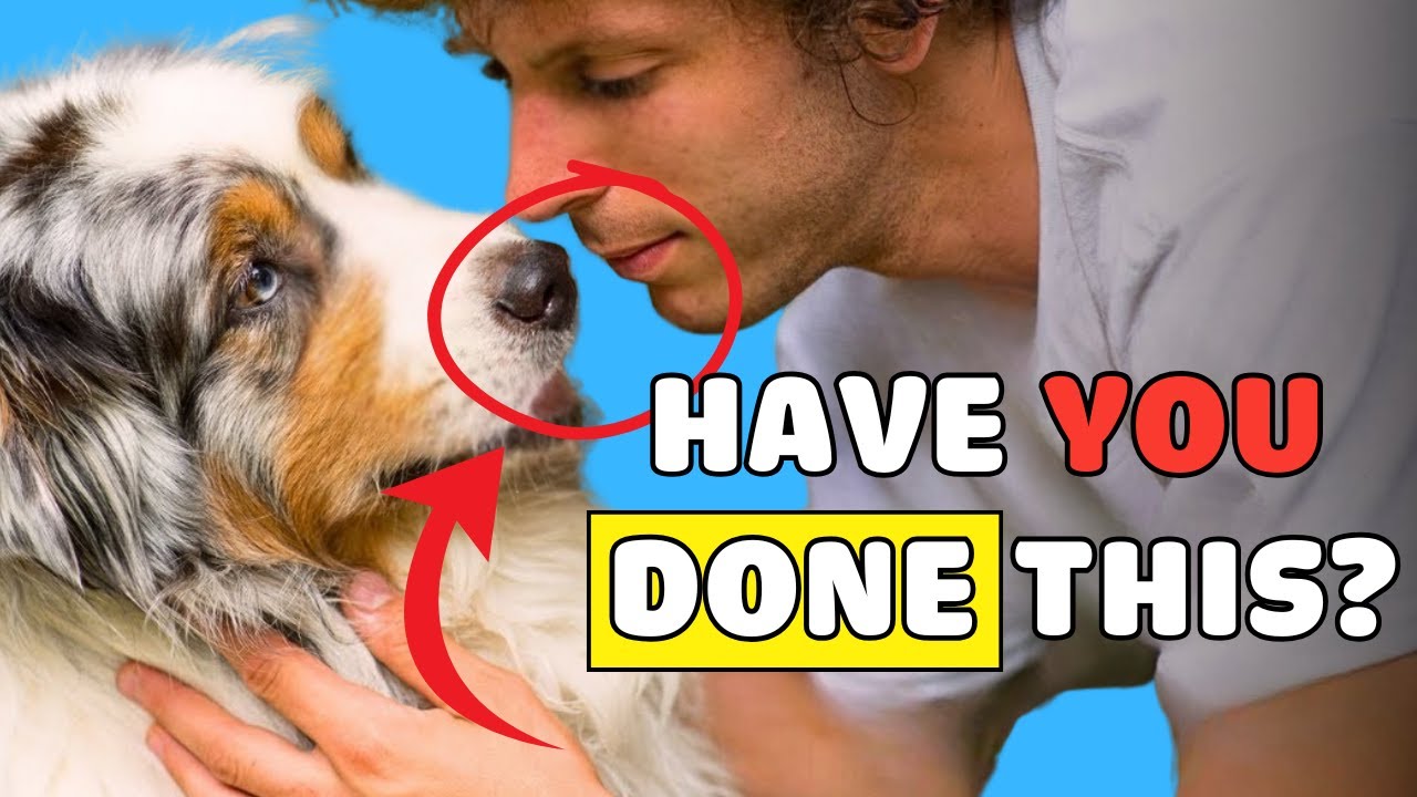 If Your Dog Does THIS, You Are Their #1! ❤️