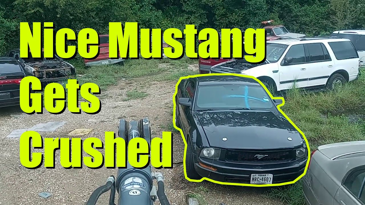 About Time a Stupid Mustang gets Crushed 👍😃