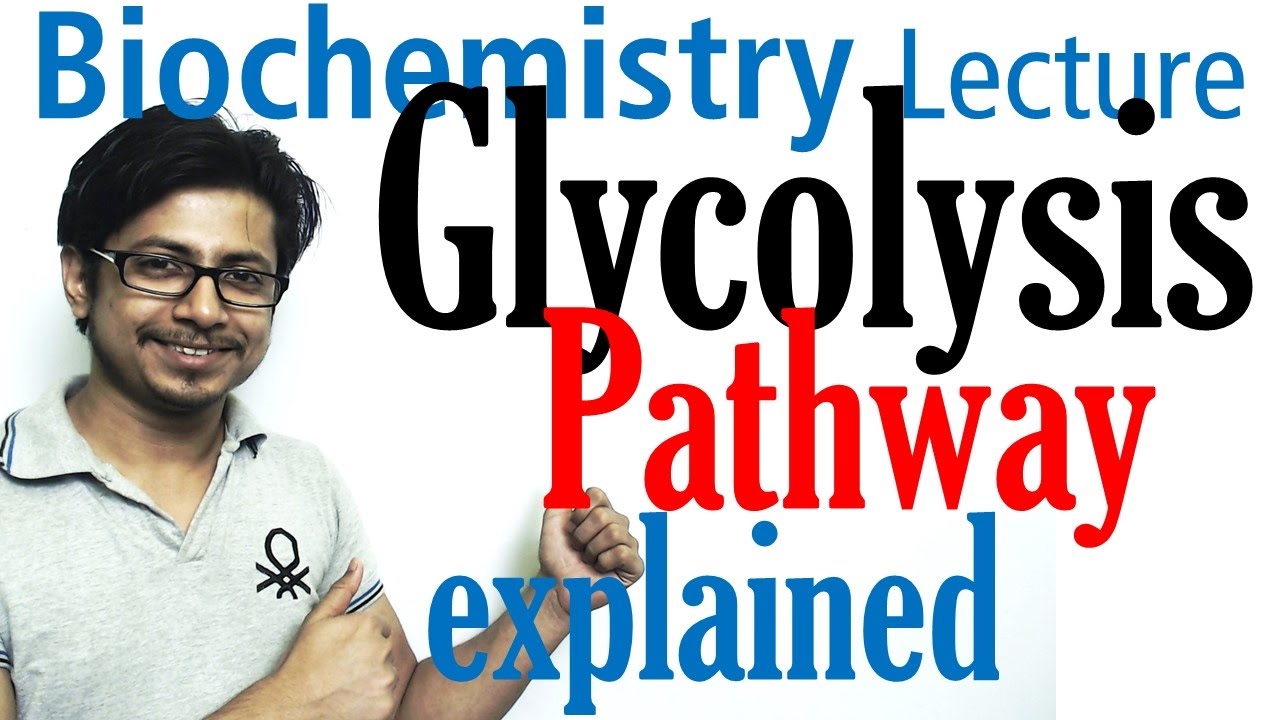 Glycolysis biochemistry