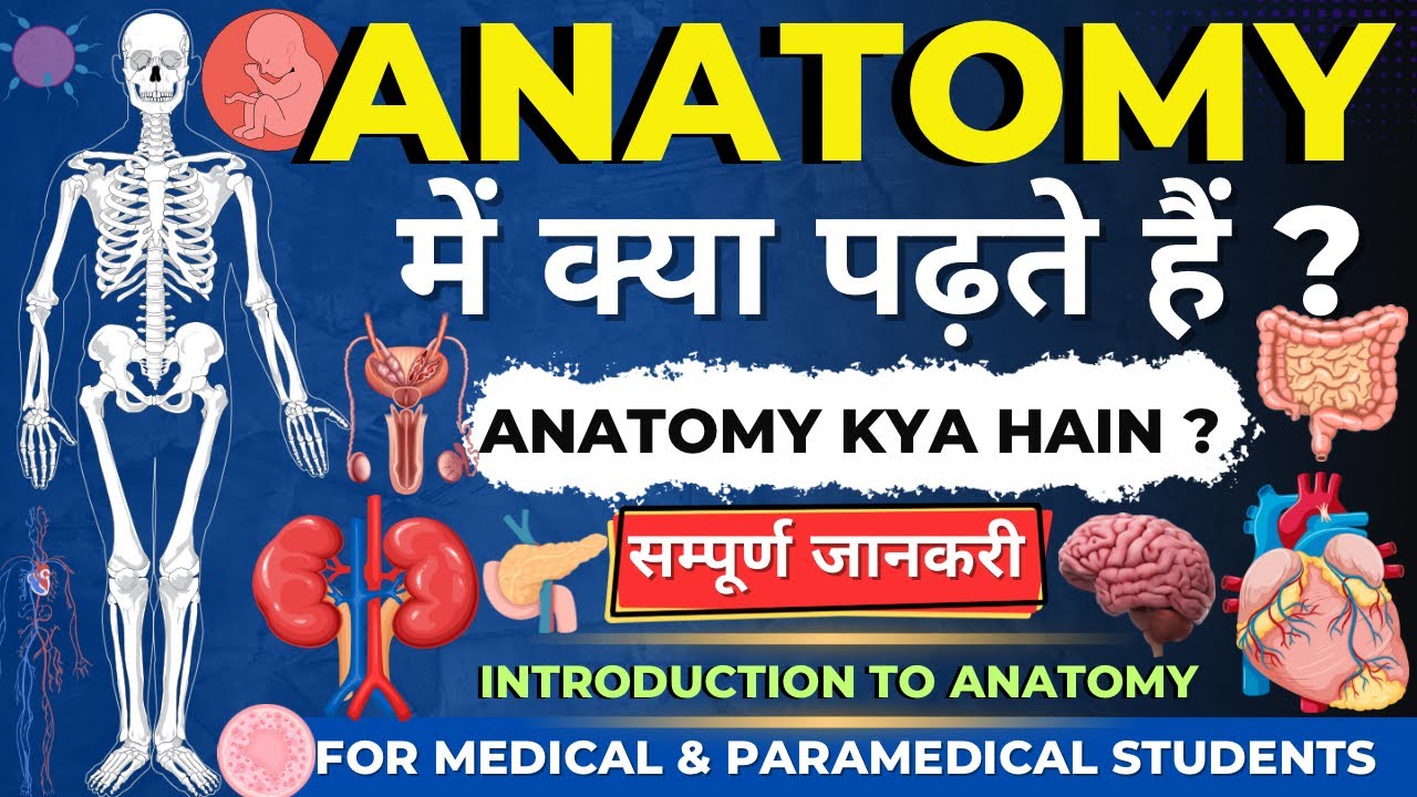 What Is Anatomy In Hindi | Introduction to Anatomy | Introduction Of Anatomy | Anatomy Terminology