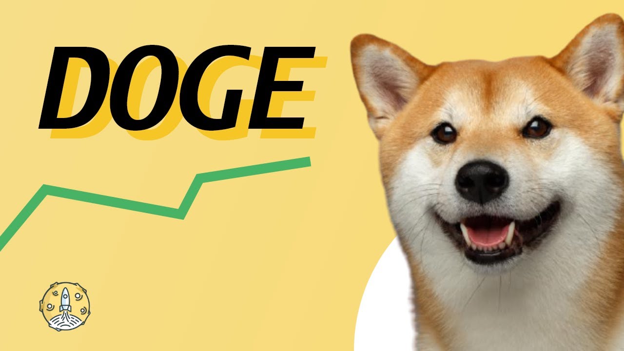 Dogecoin (DOGE) Run-Up | Is Dogecoin the Future of Money? Token Metrics AMA