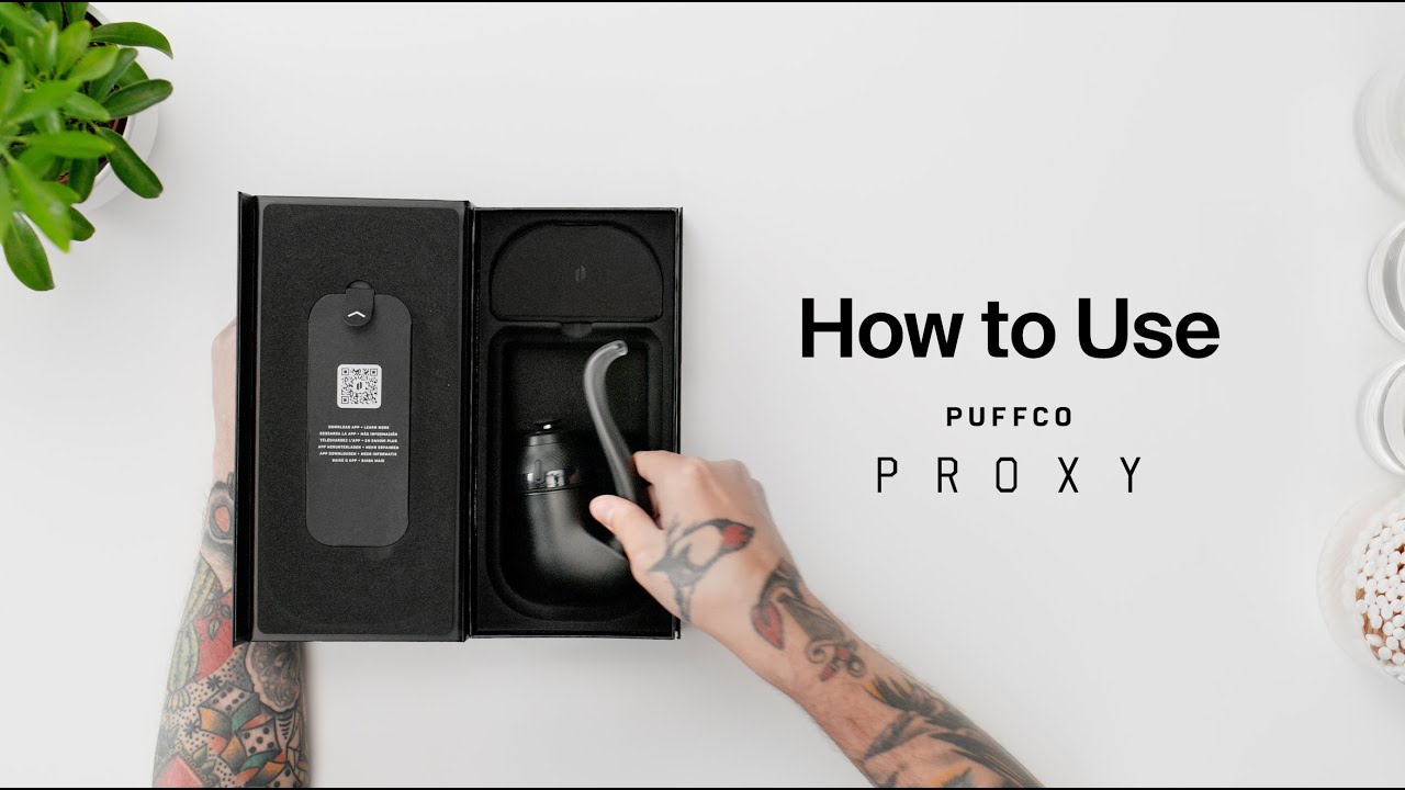 How to USE the Puffco Proxy (2025)