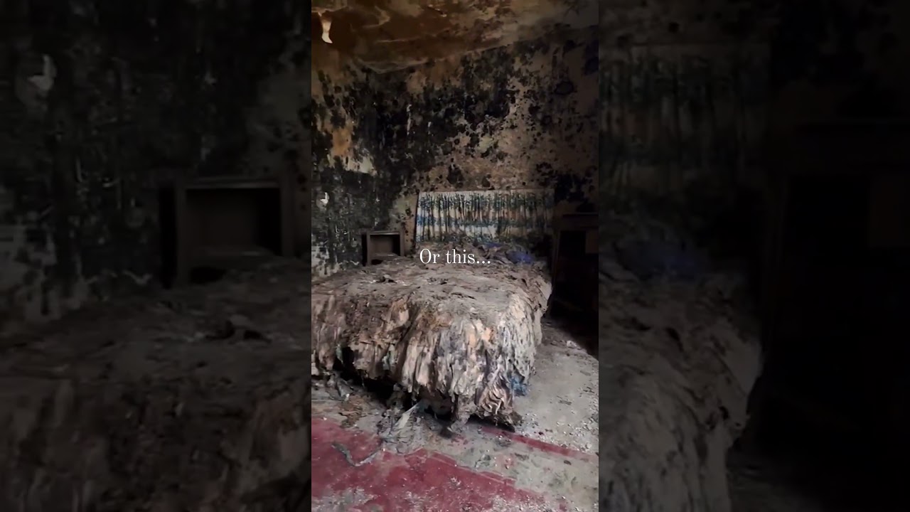 Exploring Abandoned Places Is A Vibe..  #abandondedplaces #abandonedbuilding #shorts