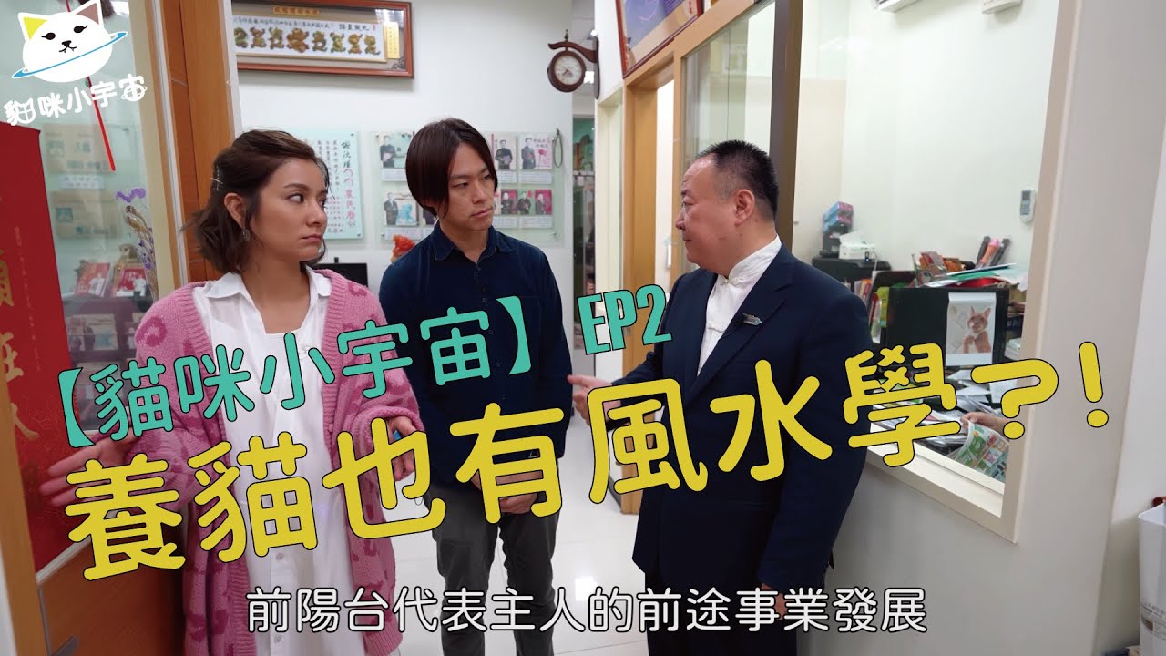 【貓咪小宇宙】EP2-命理師和獸醫師一致認同的貓砂盆擺法，你做對了嗎！（來賓：#謝沅瑾老師）#莎莎 #林子軒獸醫
