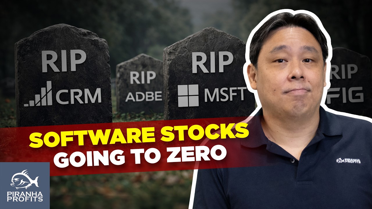 Software Stocks Going to Zero? by Adam Khoo