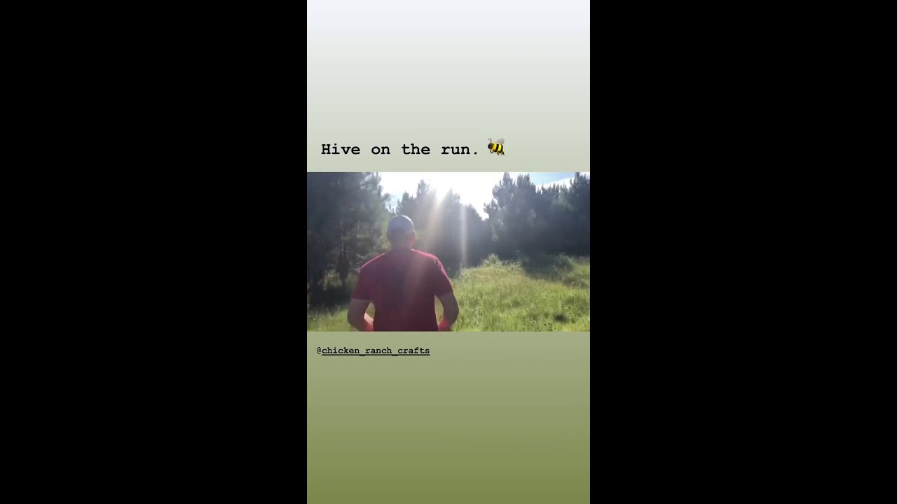 Lee Pace and family VS Bees 20.06.2019