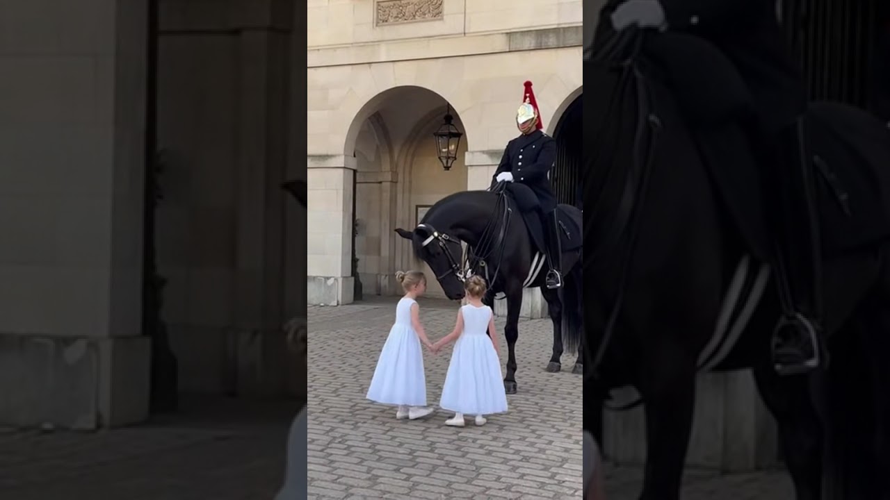 Watch this Royal Horse Kneel Down to Greet Two Little Kids