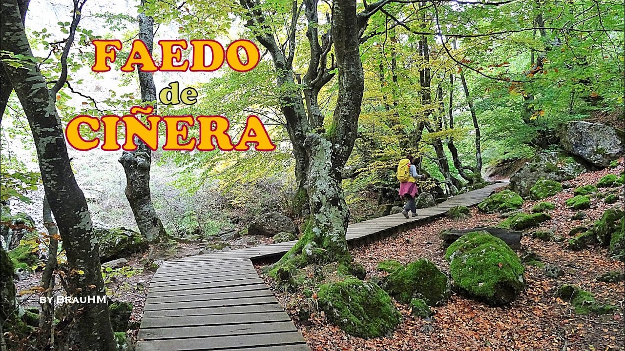 Faedo de Ciñera - 