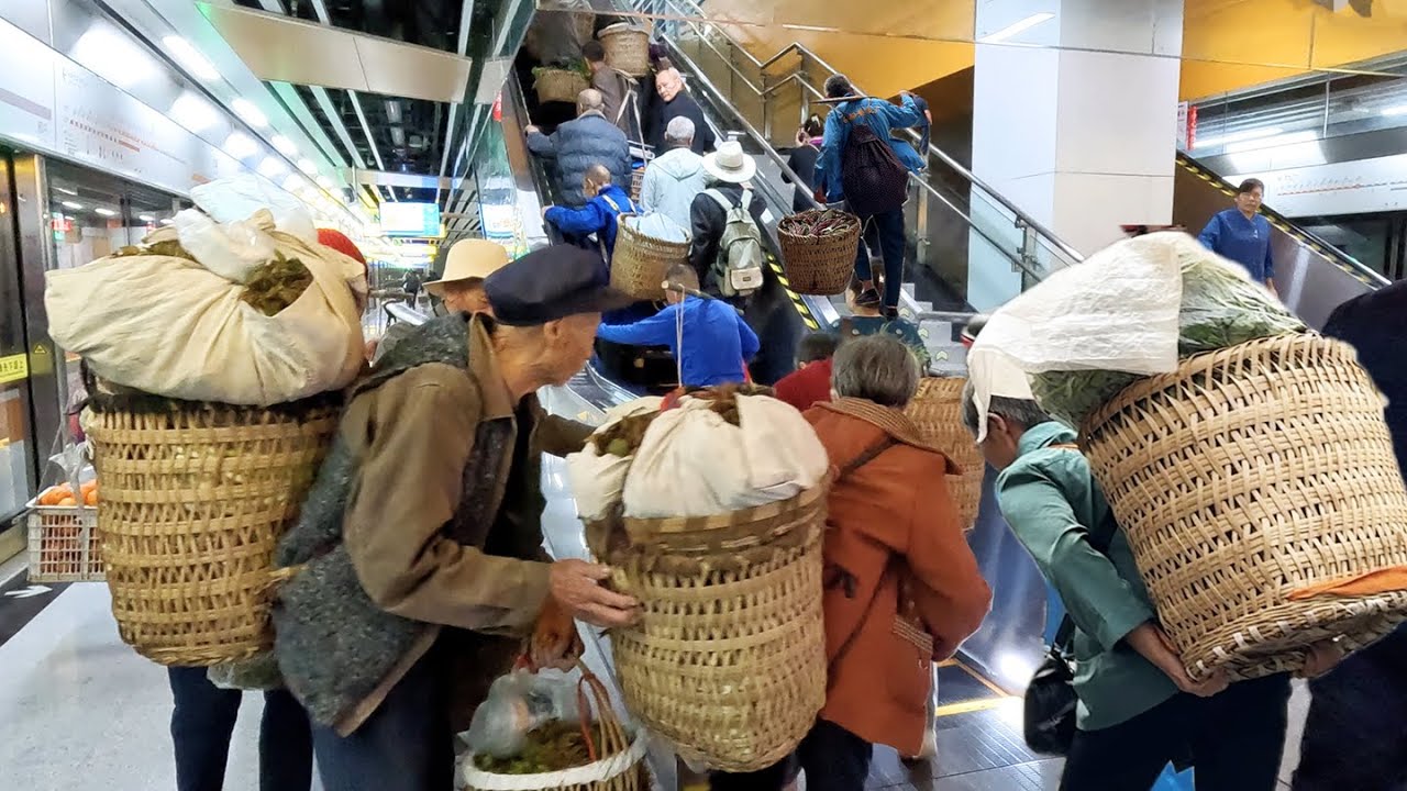 China's Subway Farmers: Feeding a City from 4 AM