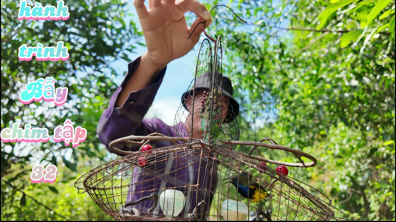 Hành Trình Bẫy Chim Tập 32 | Test Thử Con Mồi 5 Màu Và Cái Lụp Cổ Năm 2000
