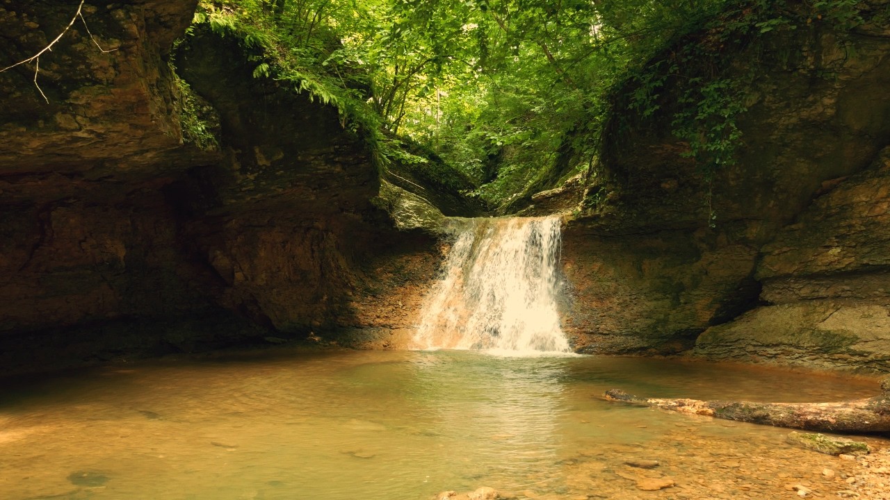 Relax Your Mind with Gentle Waterfall Sounds
