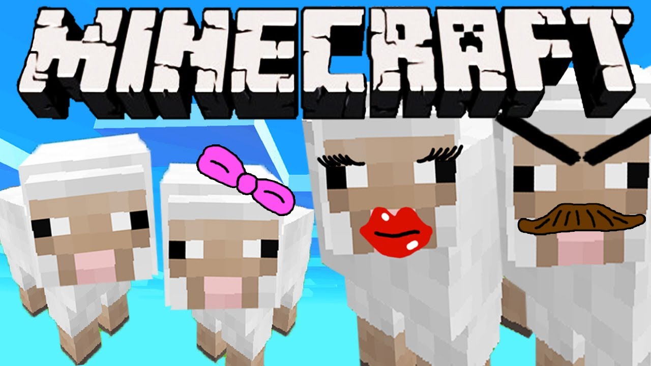 Minecraft - SHEEP BABIES