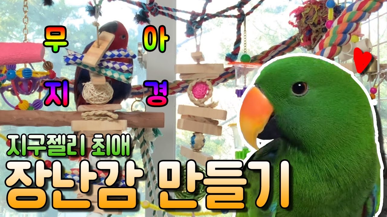 [지구젤리/일상] 가성비 최고! 앵무새가 너무 좋아하는 장난감 만들기!